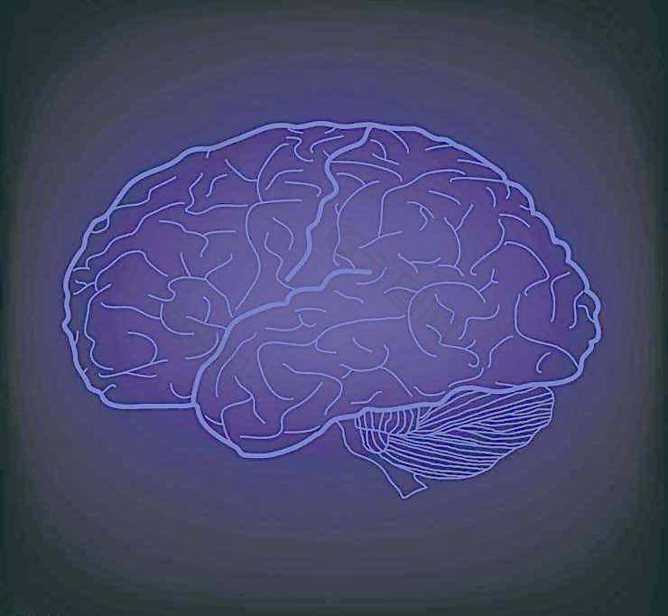 哄自己的脑子 cover