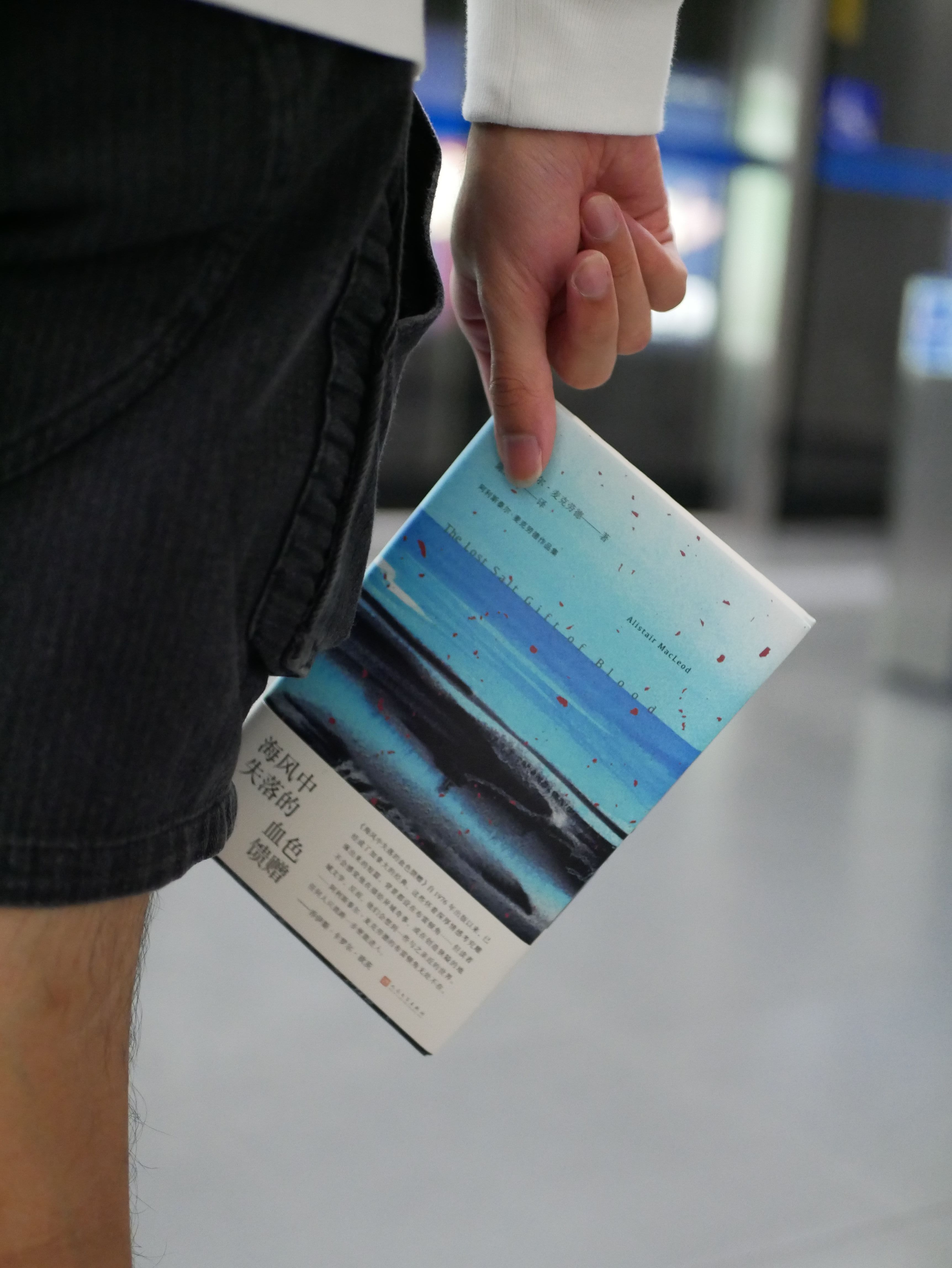 海风中失落的血色馈赠