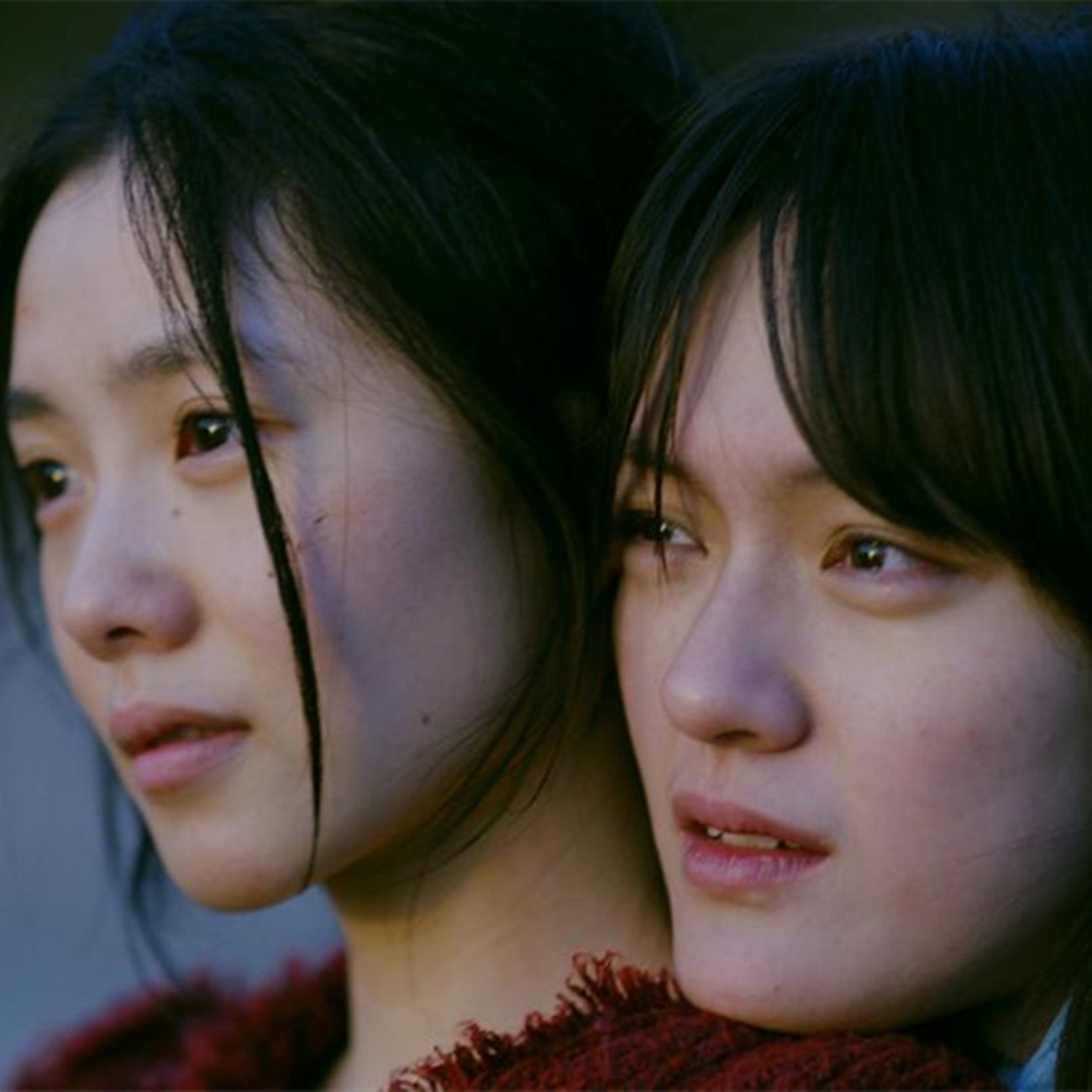 cover of episode  《想飞的女孩》柏林首映分享 