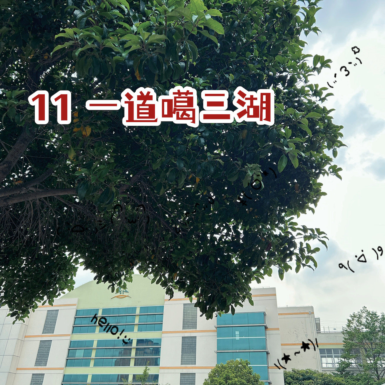 sago散讲