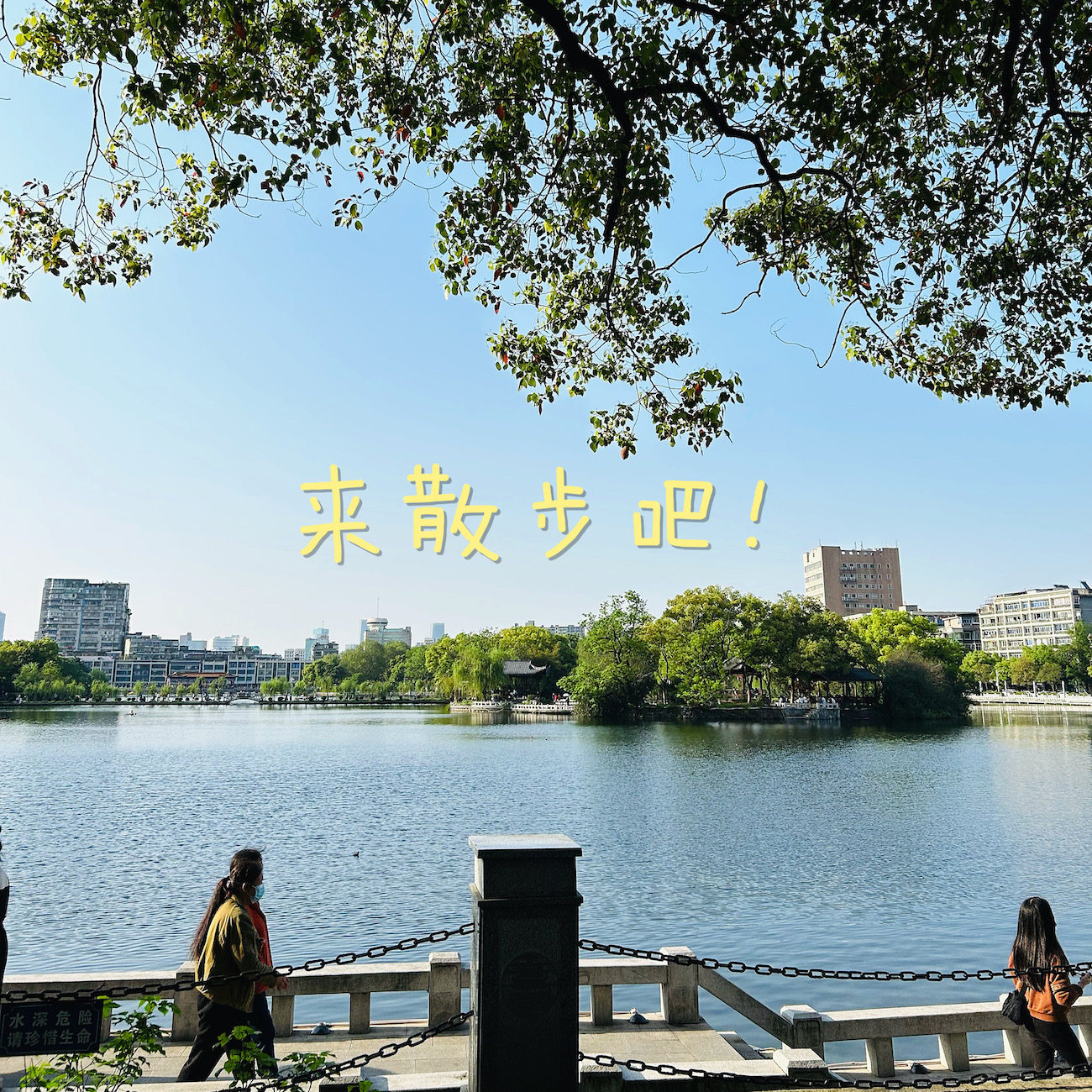 sago散讲