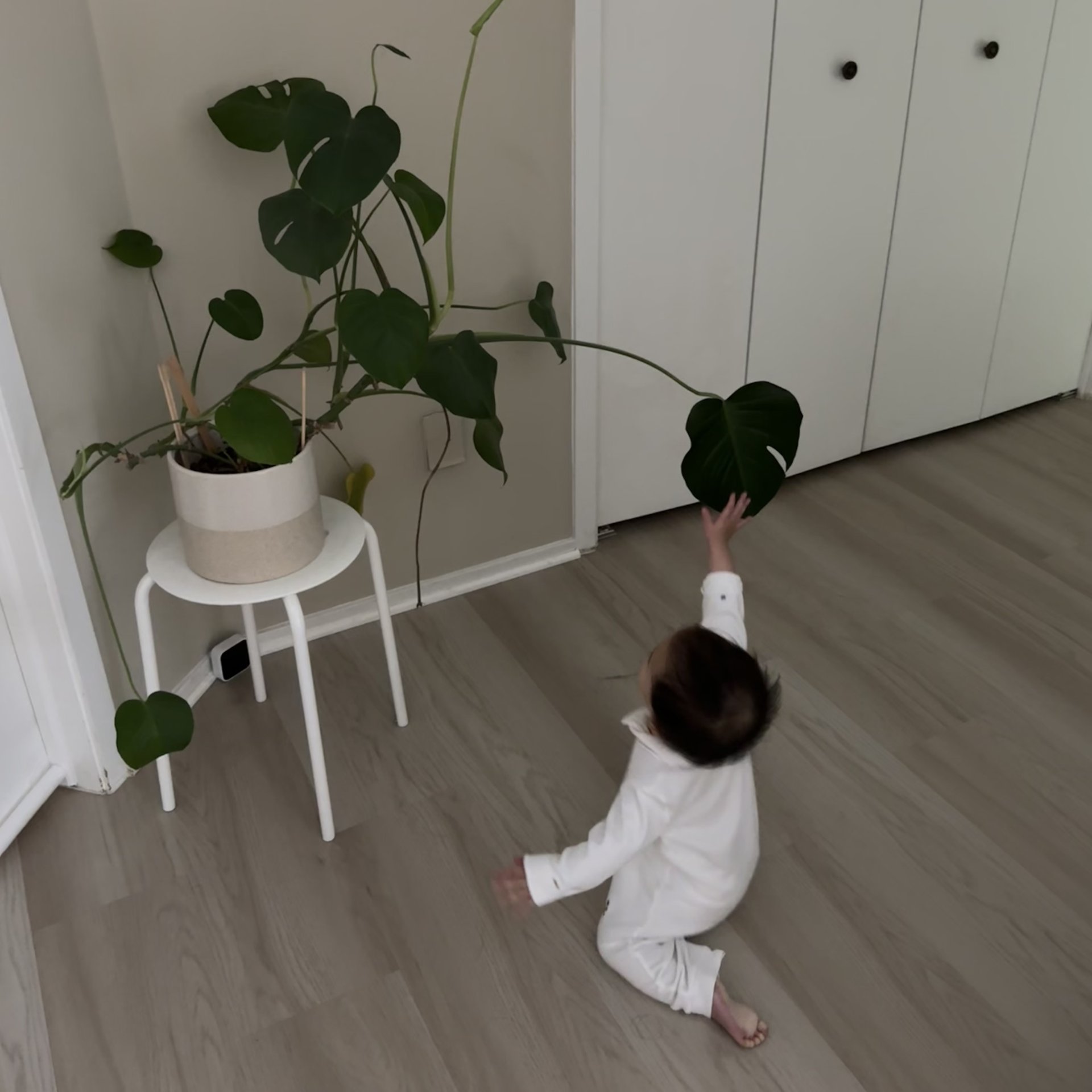 EP15 👶🏻欢迎队友：我们面对宝宝的不同反应