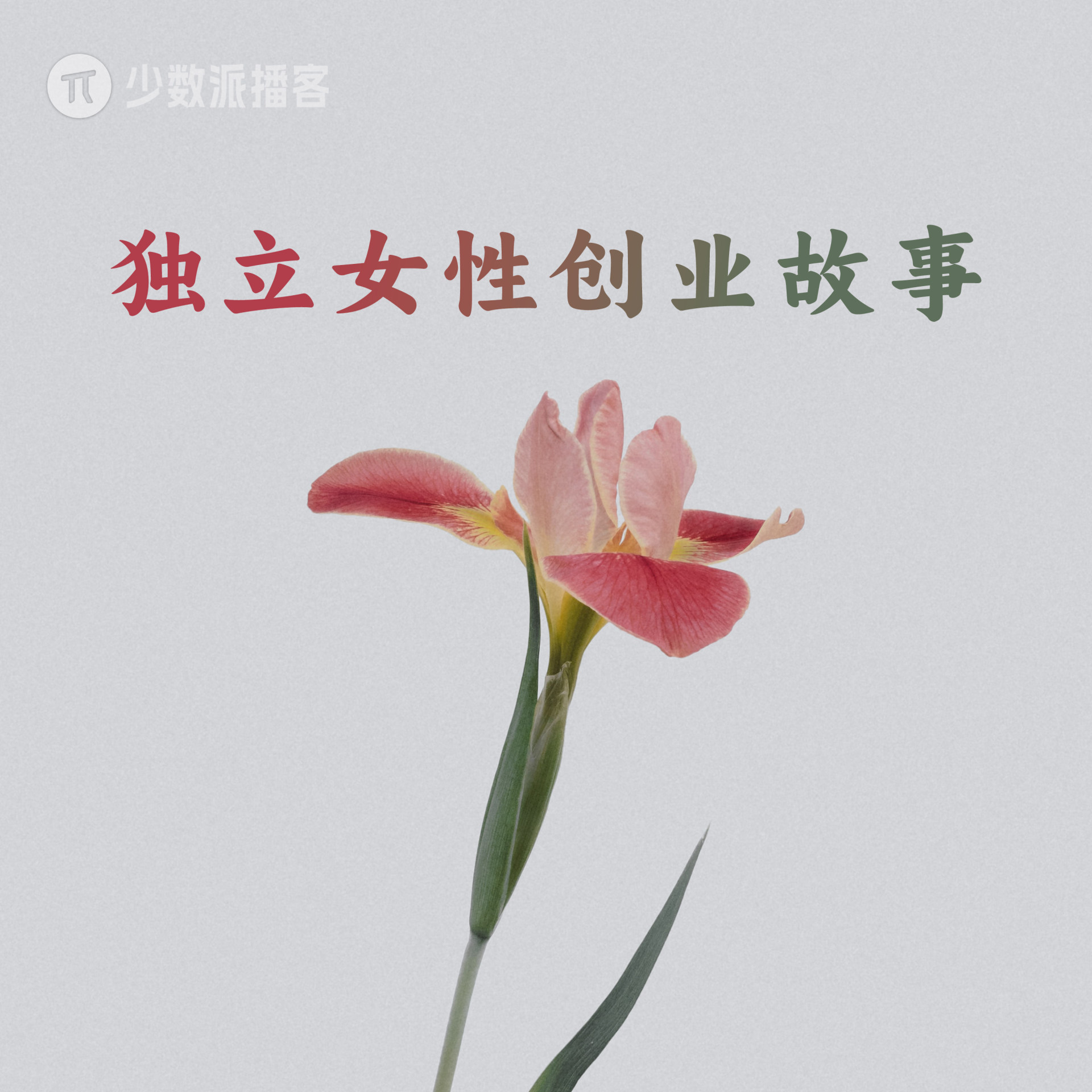 等一朵花开：独立女性创业故事