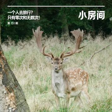 151 一个人去旅行？只有零次和无数次！