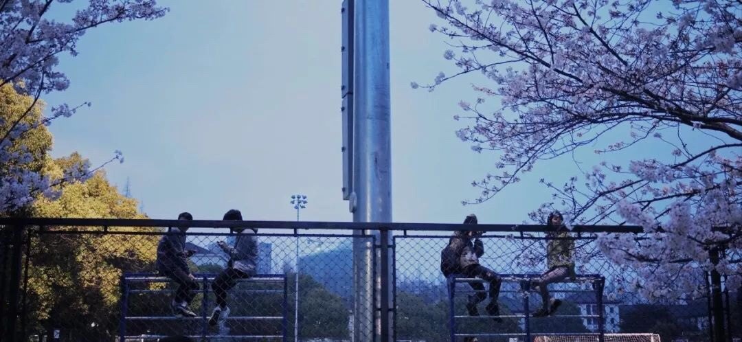 哟,这一幕我第一次见 image