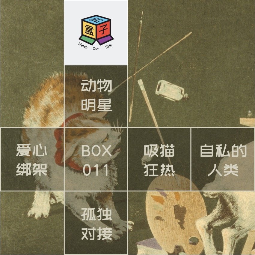 拆盒子