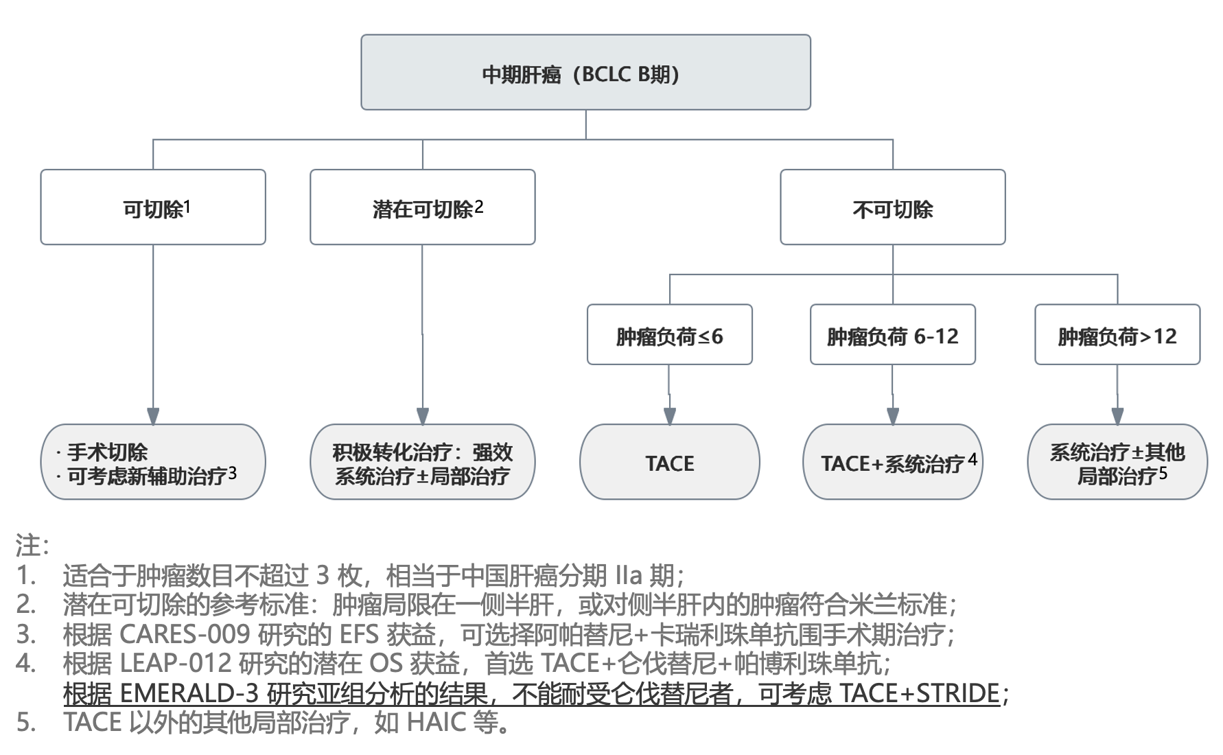 中期肝癌分层.png