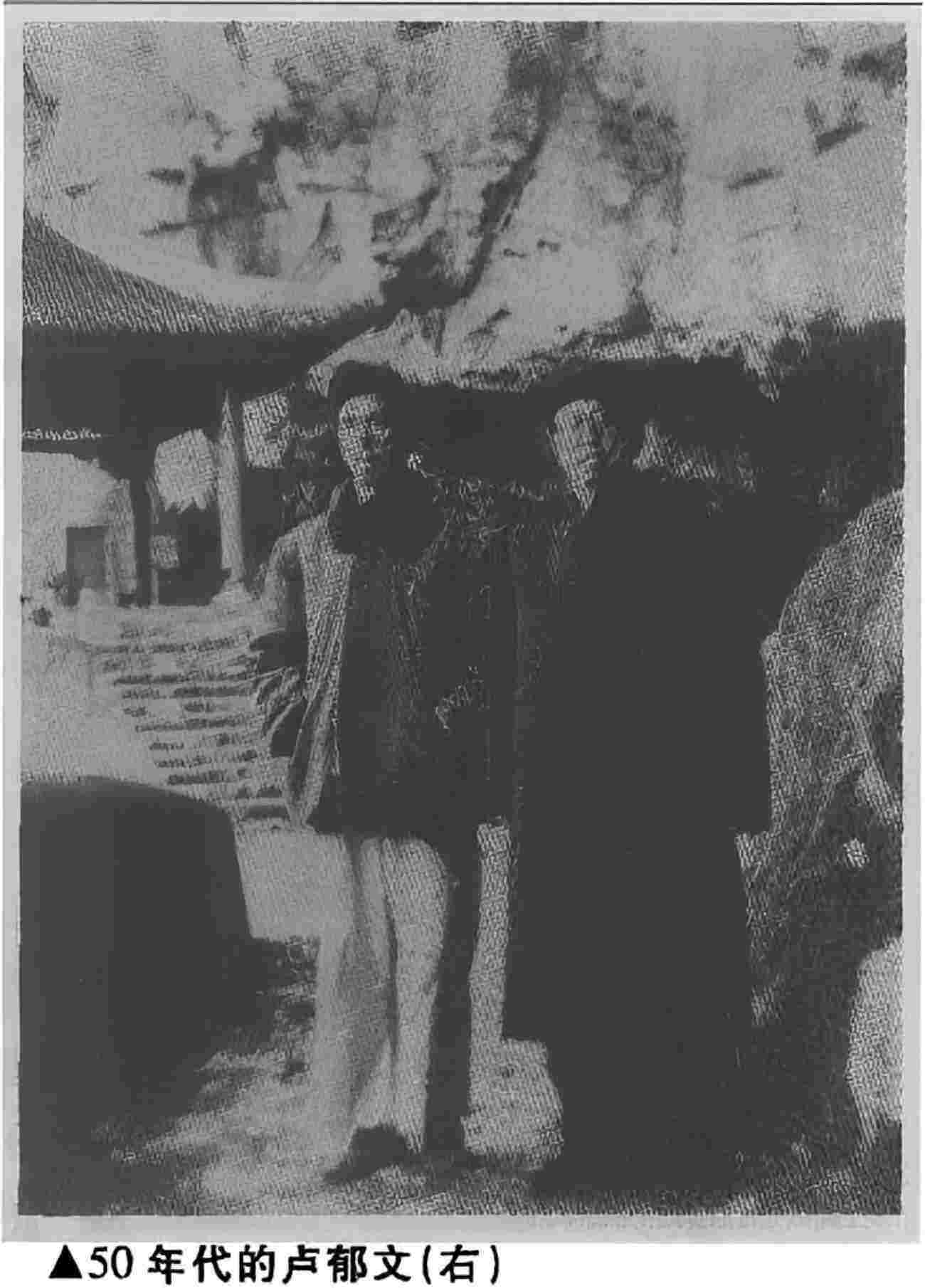 文革群英传——卢郁文列传 第七节 cover