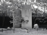 公募1(1).jpg