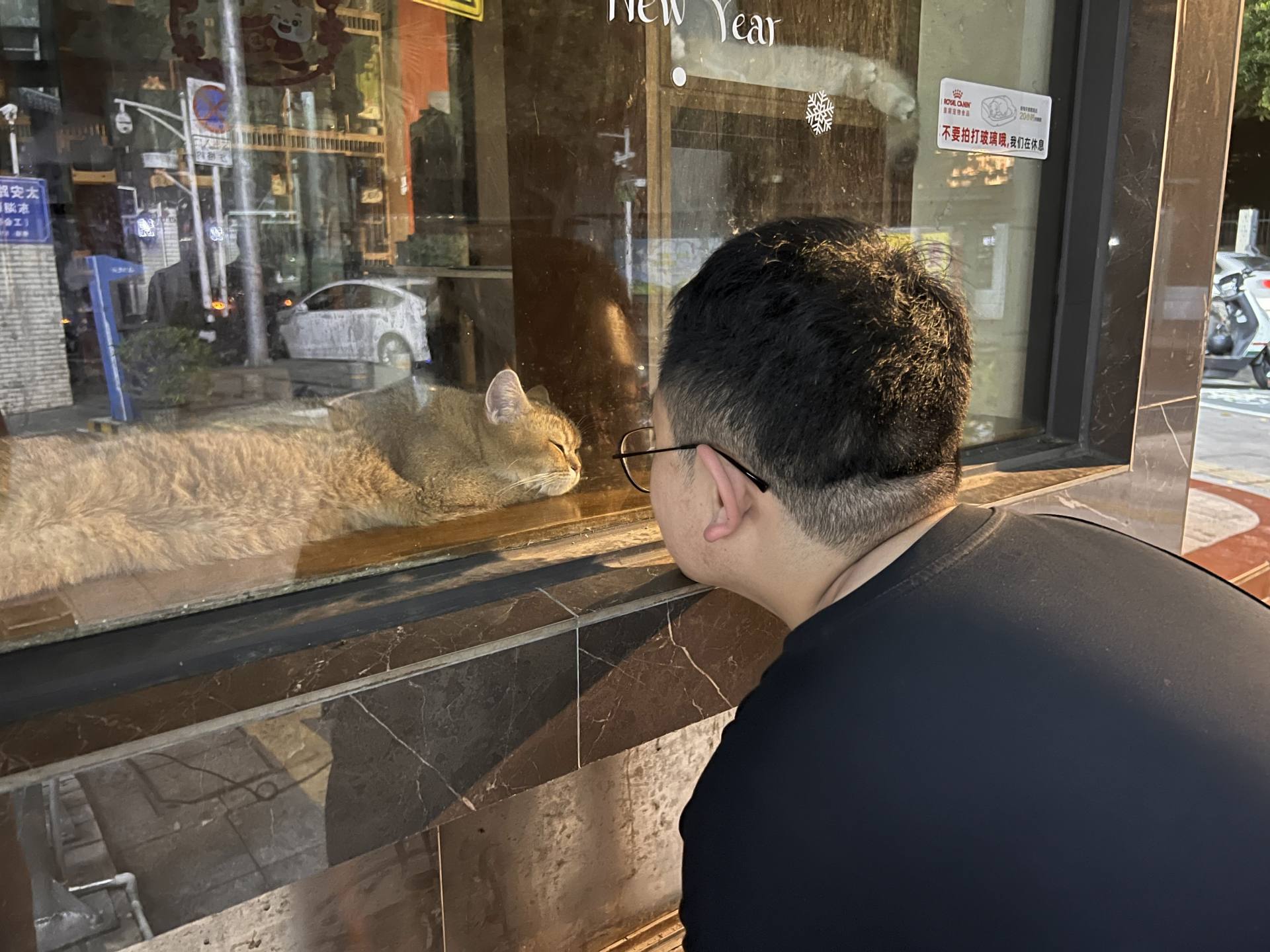 观察人类记 cover