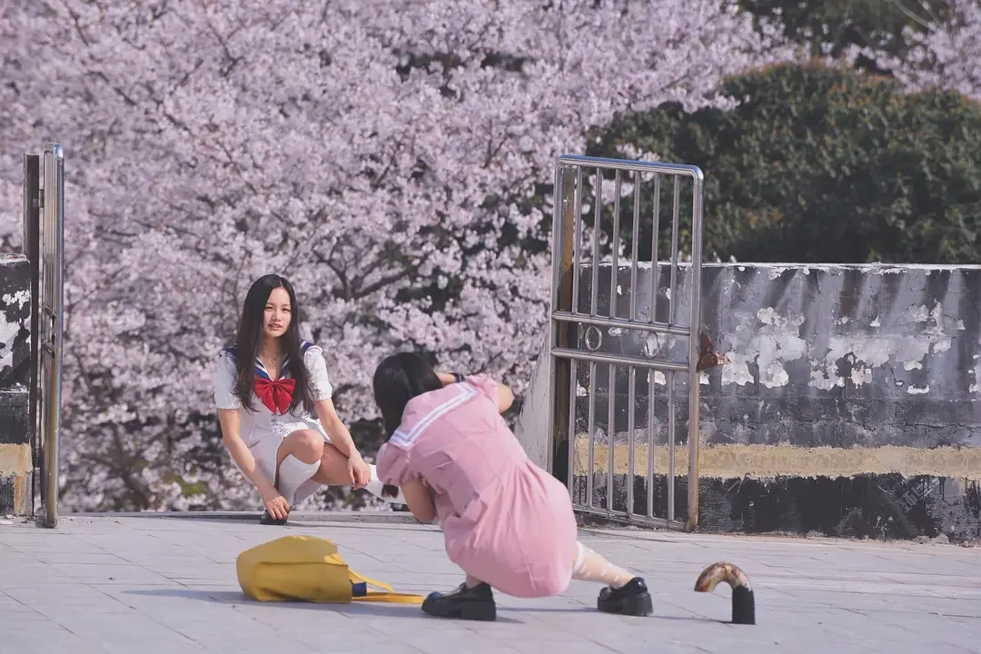 cover of episode  17 珞珈记：武大的樱顶煎饺、文学和恋爱，春夏秋冬又一春 