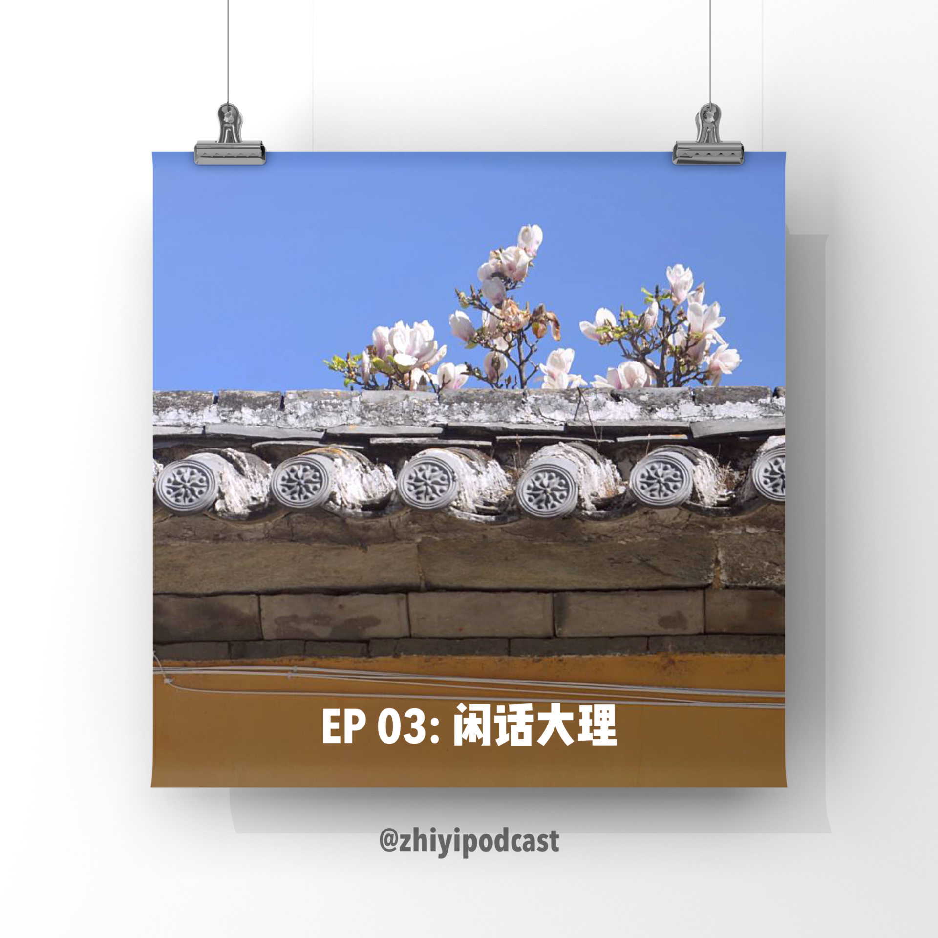 cover of episode  执异 EP 03: 闲话大理 